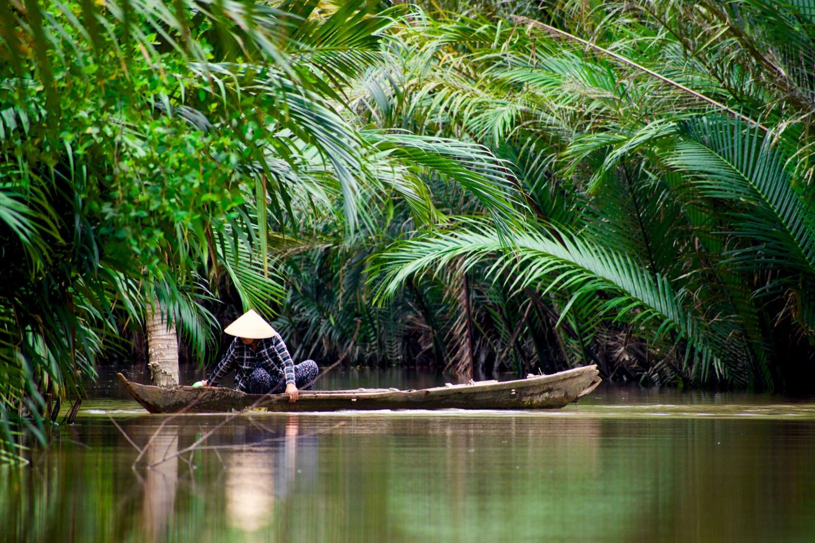 A Vietnamese woman in a conical hat on a wooden boat gliding through a palm-lined river in the Mekong Delta.